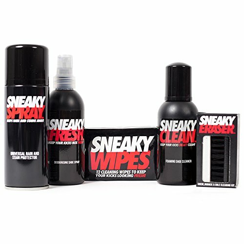 Complete shoe care kit - shoe,